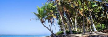5ta Convención Bávaro, Punta Cana